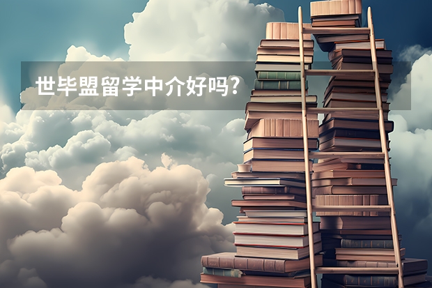 世毕盟留学中介好吗?